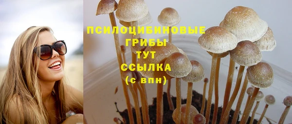 ГАЛЛЮЦИНОГЕННЫЕ ГРИБЫ Алексеевка