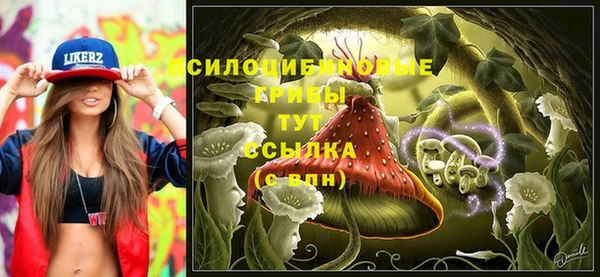 твердый Алексин