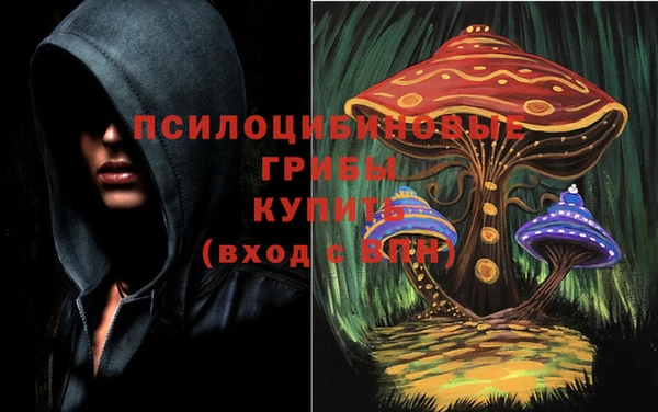 apvp Абинск