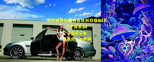 ГАЛЛЮЦИНОГЕННЫЕ ГРИБЫ Новозыбков