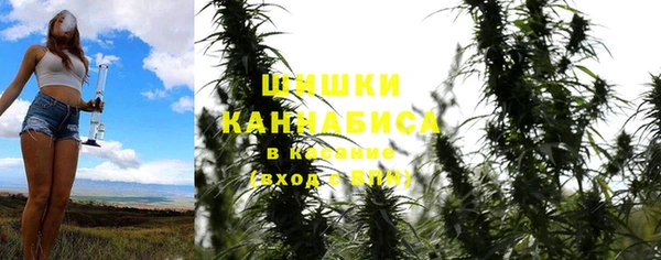 ГАЛЛЮЦИНОГЕННЫЕ ГРИБЫ Алексеевка