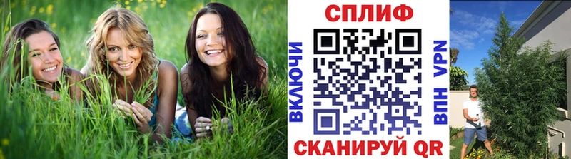 закладки  Курлово  Марихуана план 